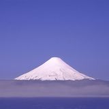 Das User-Foto des Tages - August 2007 - Bild 20