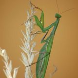 Das User-Foto des Tages - August 2007 - Bild 21