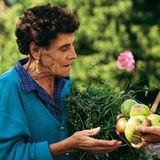 Obst für die Nachwelt - Bild 2