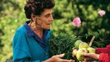 Obst für die Nachwelt - Bild 2
