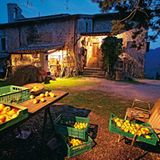 Obst für die Nachwelt - Bild 6