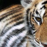 Das User-Foto des Tages - September 2007