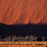 Das User-Foto des Tages - September 2007 - Bild 3