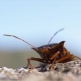 Das User-Foto des Tages - September 2007 - Bild 4