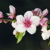 Das User-Foto des Tages - September 2007 - Bild 6