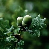 Das User-Foto des Tages - September 2007 - Bild 7