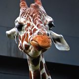 Das User-Foto des Tages - September 2007 - Bild 8