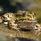 Das User-Foto des Tages - September 2007 - Bild 14