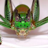 Das User-Foto des Tages - September 2007 - Bild 16