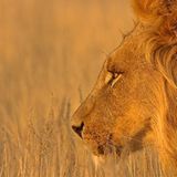 Das User-Foto des Tages - September 2007 - Bild 18