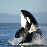 Das User-Foto des Tages - September 2007 - Bild 19