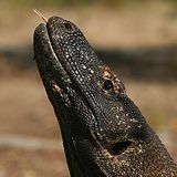 Das User-Foto des Tages - September 2007 - Bild 20