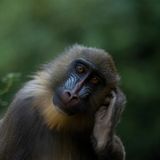 Das User-Foto des Tages - Oktober 2007 - Bild 2