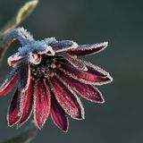 Das User-Foto des Tages - Oktober 2007 - Bild 4