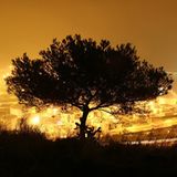 Das User-Foto des Tages - Oktober 2007 - Bild 5