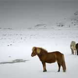 Das User-Foto des Tages - Oktober 2007 - Bild 7