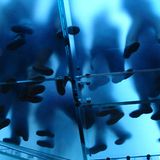 Das User-Foto des Tages - Oktober 2007 - Bild 9