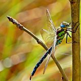 Das User-Foto des Tages - Oktober 2007 - Bild 13