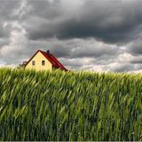 Das User-Foto des Tages - Oktober 2007 - Bild 14