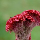 Das User-Foto des Tages - Oktober 2007 - Bild 15