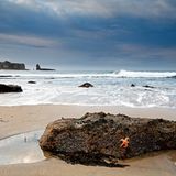 Das User-Foto des Tages - Oktober 2007 - Bild 17