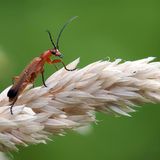 Das User-Foto des Tages - Oktober 2007 - Bild 18