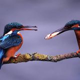 Das User-Foto des Tages - Oktober 2007 - Bild 19