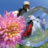 Fotoshow: Wildnis in Thüringen