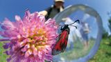 Fotoshow: Wildnis in Thüringen