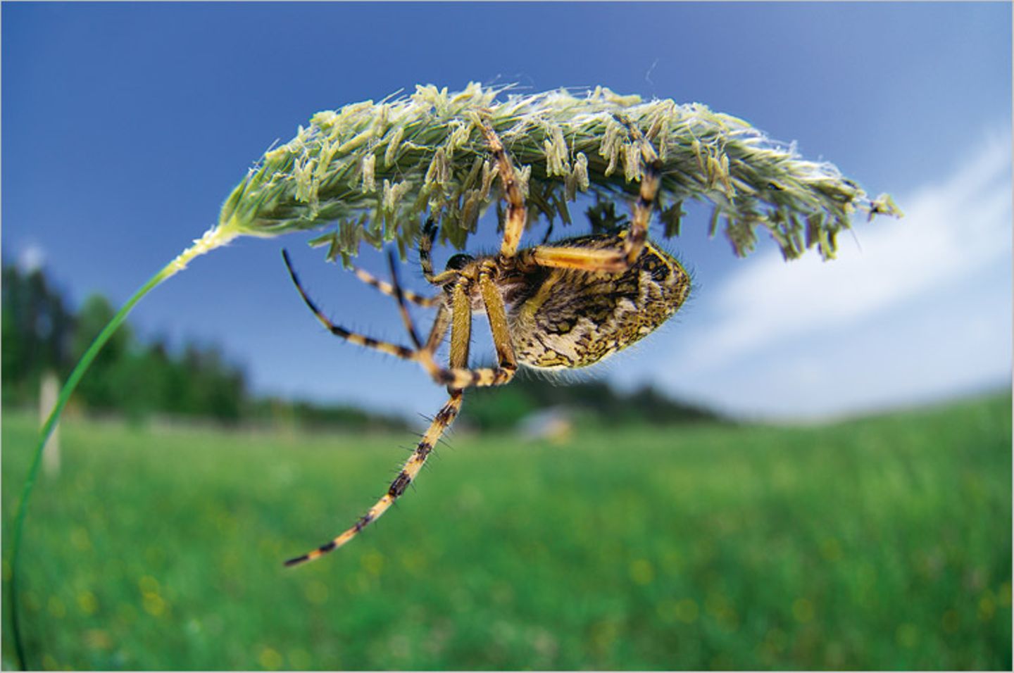 Fotoshow: Wildnis in Thüringen - Bild 8