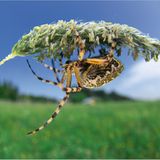 Fotoshow: Wildnis in Thüringen - Bild 8