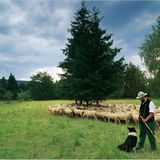 Fotoshow: Wildnis in Thüringen - Bild 9