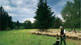 Fotoshow: Wildnis in Thüringen - Bild 9