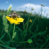 Fotoshow: Wildnis in Thüringen - Bild 11