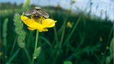 Fotoshow: Wildnis in Thüringen - Bild 11