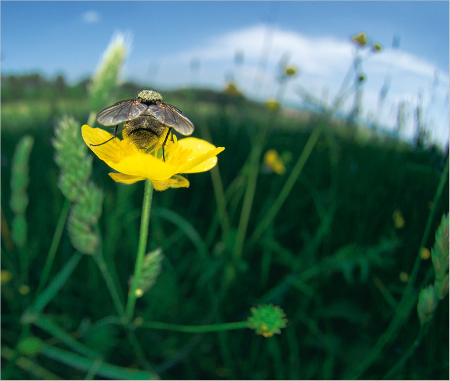 Fotoshow: Wildnis in Thüringen - Bild 11
