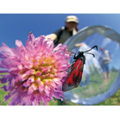 9. GEO-Tag in Crawinkel: Fotoshow