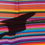 Fotogalerie: Lateinamerika - Bild 2