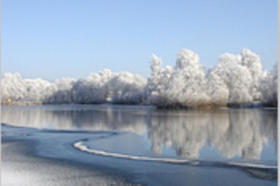 Das User-Foto des Tages - November 2007