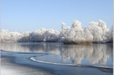 Das User-Foto des Tages - November 2007