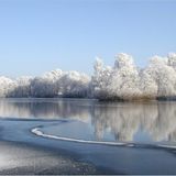 Das User-Foto des Tages - November 2007