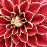 Das User-Foto des Tages - November 2007 - Bild 2