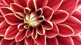 Das User-Foto des Tages - November 2007 - Bild 2