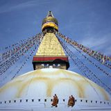 Das User-Foto des Tages - November 2007 - Bild 4