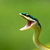 Das User-Foto des Tages - November 2007 - Bild 5