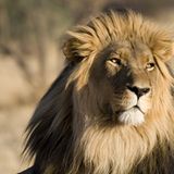 Das User-Foto des Tages - November 2007 - Bild 7