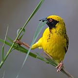 Das User-Foto des Tages - November 2007 - Bild 9