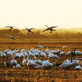 Das User-Foto des Tages - November 2007 - Bild 11