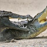 Das User-Foto des Tages - November 2007 - Bild 12