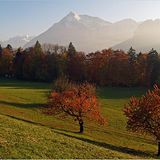 Das User-Foto des Tages - November 2007 - Bild 13